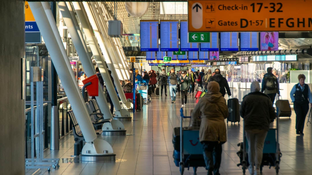 한국에서 오신 가족, LA 도착 첫날 완벽 가이드 (LAX 공항 픽업부터)